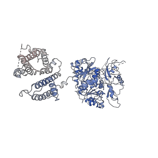 40038_8gh9_A_v1-0
Cryo-EM structure of hSlo1 in total membrane vesicles