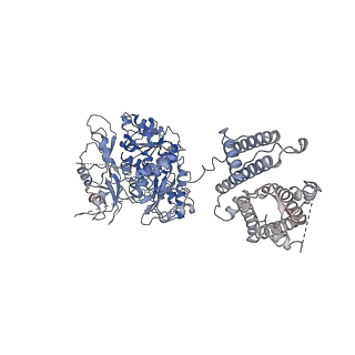 40038_8gh9_B_v1-0
Cryo-EM structure of hSlo1 in total membrane vesicles