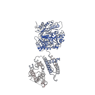 40038_8gh9_C_v1-0
Cryo-EM structure of hSlo1 in total membrane vesicles
