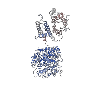 40038_8gh9_D_v1-0
Cryo-EM structure of hSlo1 in total membrane vesicles