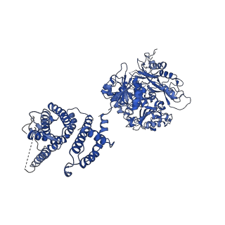 40044_8ghf_A_v1-0
cryo-EM structure of hSlo1 in plasma membrane vesicles