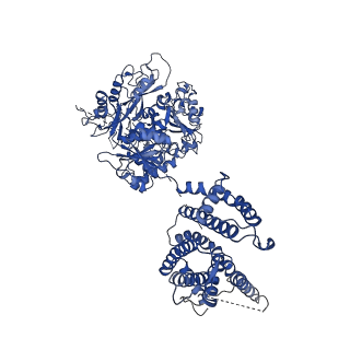 40044_8ghf_C_v1-0
cryo-EM structure of hSlo1 in plasma membrane vesicles