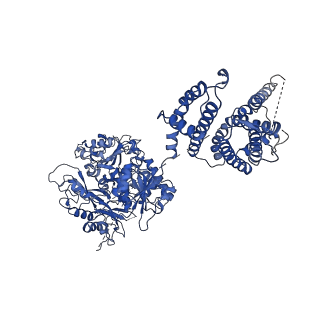 40044_8ghf_D_v1-0
cryo-EM structure of hSlo1 in plasma membrane vesicles