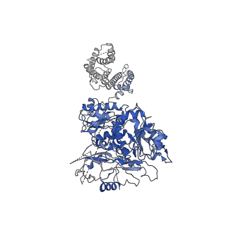 40045_8ghg_A_v1-0
Cryo-EM structure of hSlo1 in digitonin, Ca2+-free and EDTA-free