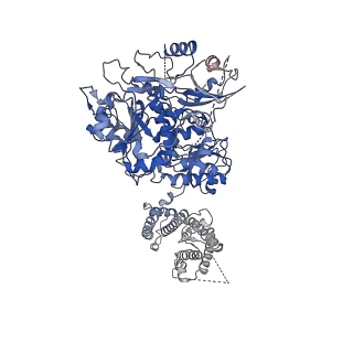 40045_8ghg_B_v1-0
Cryo-EM structure of hSlo1 in digitonin, Ca2+-free and EDTA-free