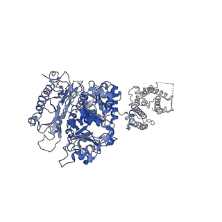 40045_8ghg_C_v1-0
Cryo-EM structure of hSlo1 in digitonin, Ca2+-free and EDTA-free