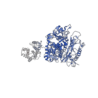 40045_8ghg_D_v1-0
Cryo-EM structure of hSlo1 in digitonin, Ca2+-free and EDTA-free