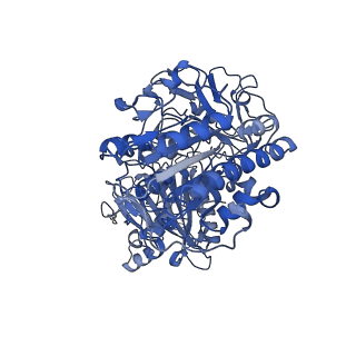 40047_8ghr_A_v1-1
Structure of human ENPP1 in complex with variable heavy domain VH27.2