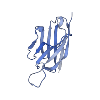 40047_8ghr_C_v1-1
Structure of human ENPP1 in complex with variable heavy domain VH27.2