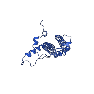 40049_8ghs_E_v1-1
Empty HBV Cp183 capsid with importin-beta, subparticle reconstruction at 2-fold location