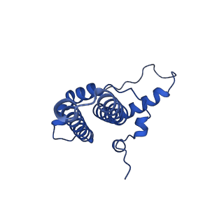 40049_8ghs_K_v1-1
Empty HBV Cp183 capsid with importin-beta, subparticle reconstruction at 2-fold location