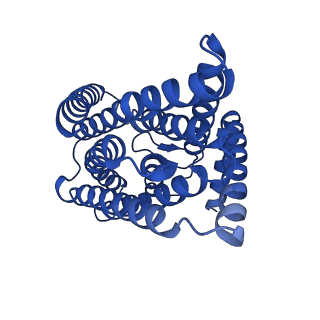 40050_8ght_A_v1-0
Cryo-electron microscopy structure of the zinc transporter from Bordetella bronchiseptica