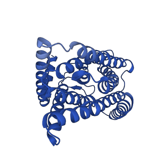 40050_8ght_B_v1-0
Cryo-electron microscopy structure of the zinc transporter from Bordetella bronchiseptica