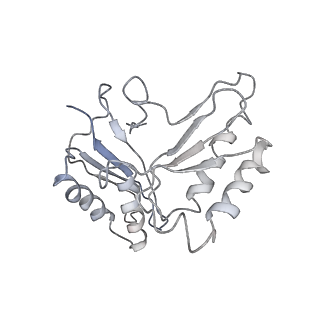 40051_8ghu_c_v1-0
Methyltransferase RmtC bound to the 30S ribosomal subunit