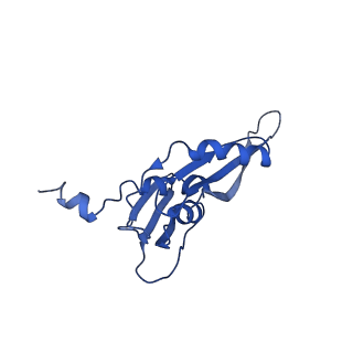 40051_8ghu_e_v1-0
Methyltransferase RmtC bound to the 30S ribosomal subunit