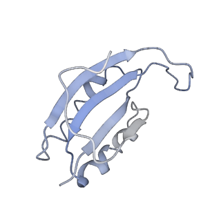 40051_8ghu_f_v1-0
Methyltransferase RmtC bound to the 30S ribosomal subunit