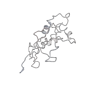40051_8ghu_g_v1-0
Methyltransferase RmtC bound to the 30S ribosomal subunit