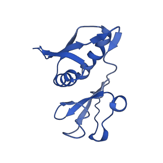 40051_8ghu_h_v1-0
Methyltransferase RmtC bound to the 30S ribosomal subunit