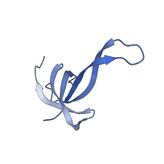 40051_8ghu_q_v1-0
Methyltransferase RmtC bound to the 30S ribosomal subunit