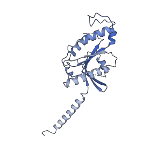 40052_8ghv_A_v1-0
Cannabinoid Receptor 1-G Protein Complex