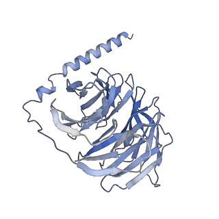 40052_8ghv_B_v1-0
Cannabinoid Receptor 1-G Protein Complex