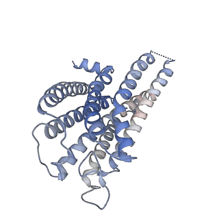 40052_8ghv_D_v1-0
Cannabinoid Receptor 1-G Protein Complex