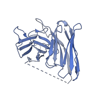 40052_8ghv_S_v1-0
Cannabinoid Receptor 1-G Protein Complex