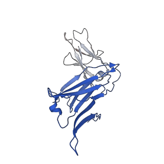40054_8ghz_A_v1-0
Cryo-EM structure of fish immunogloblin M-Fc