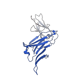 40054_8ghz_A_v1-1
Cryo-EM structure of fish immunogloblin M-Fc