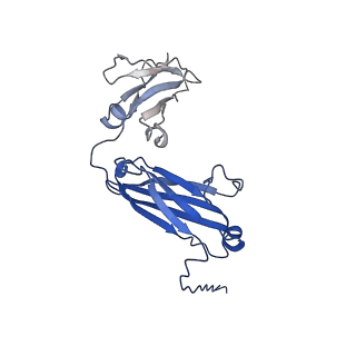 40054_8ghz_B_v1-0
Cryo-EM structure of fish immunogloblin M-Fc