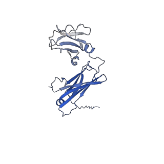 40054_8ghz_C_v1-0
Cryo-EM structure of fish immunogloblin M-Fc