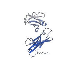 40054_8ghz_C_v1-1
Cryo-EM structure of fish immunogloblin M-Fc