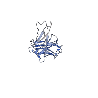 40054_8ghz_D_v1-0
Cryo-EM structure of fish immunogloblin M-Fc