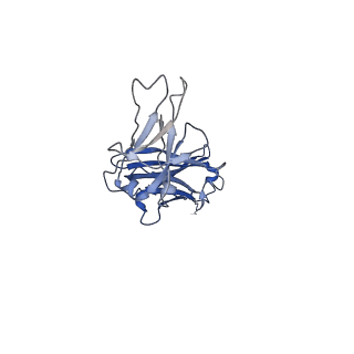 40054_8ghz_D_v1-1
Cryo-EM structure of fish immunogloblin M-Fc