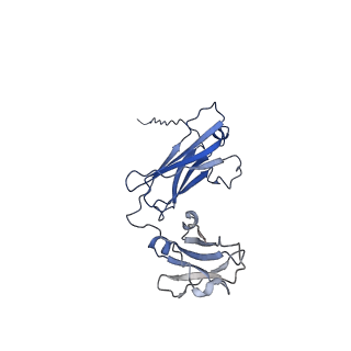 40054_8ghz_F_v1-0
Cryo-EM structure of fish immunogloblin M-Fc