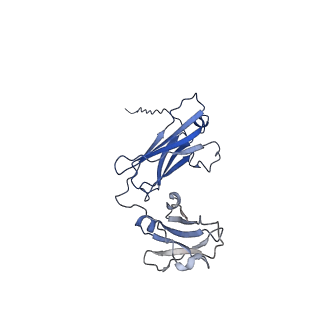 40054_8ghz_F_v1-1
Cryo-EM structure of fish immunogloblin M-Fc