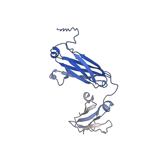 40054_8ghz_G_v1-0
Cryo-EM structure of fish immunogloblin M-Fc