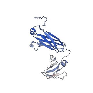 40054_8ghz_G_v1-1
Cryo-EM structure of fish immunogloblin M-Fc