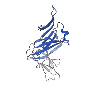 40054_8ghz_H_v1-0
Cryo-EM structure of fish immunogloblin M-Fc