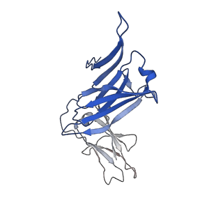 40054_8ghz_H_v1-1
Cryo-EM structure of fish immunogloblin M-Fc