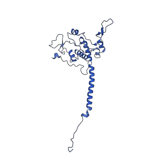 0004_6giq_D_v1-3
Saccharomyces cerevisiae respiratory supercomplex III2IV