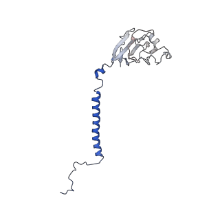 0004_6giq_E_v1-3
Saccharomyces cerevisiae respiratory supercomplex III2IV