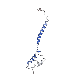 0004_6giq_e_v1-3
Saccharomyces cerevisiae respiratory supercomplex III2IV