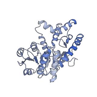 40056_8gi0_A_v1-0
Structure of Trypanosoma docking complex