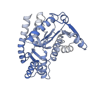 40056_8gi0_B_v1-0
Structure of Trypanosoma docking complex
