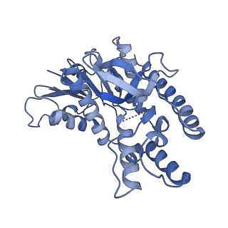 40056_8gi0_C_v1-0
Structure of Trypanosoma docking complex