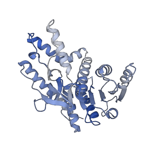 40056_8gi0_D_v1-0
Structure of Trypanosoma docking complex