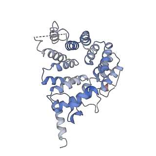 40056_8gi0_E_v1-0
Structure of Trypanosoma docking complex