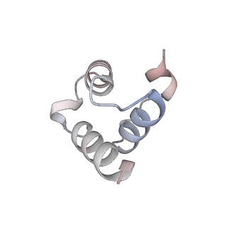 40056_8gi0_F_v1-0
Structure of Trypanosoma docking complex