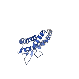 40059_8gi1_A_v1-1
Homo-octamer of PbuCsx28 protein